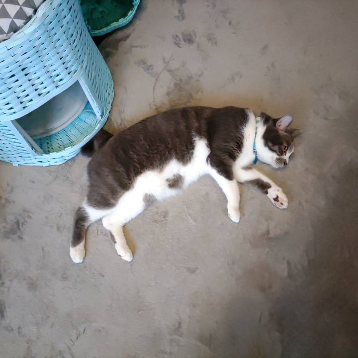 C707c6db 5da3 4a4d 91a7 174b5ad33e50 1657676805961