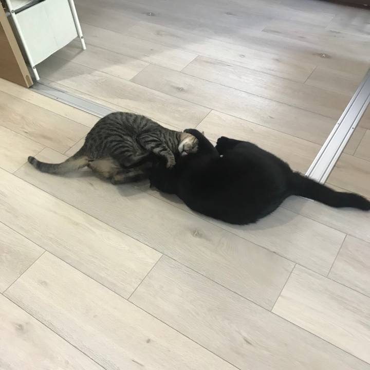 C707d4dd 2bf3 453e b4e4 55b992673a1e 1529323180657