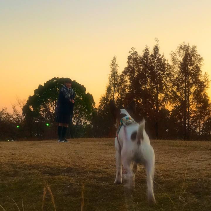 C70843f0 478c 447e 948b 393a78acb686 1511874805115