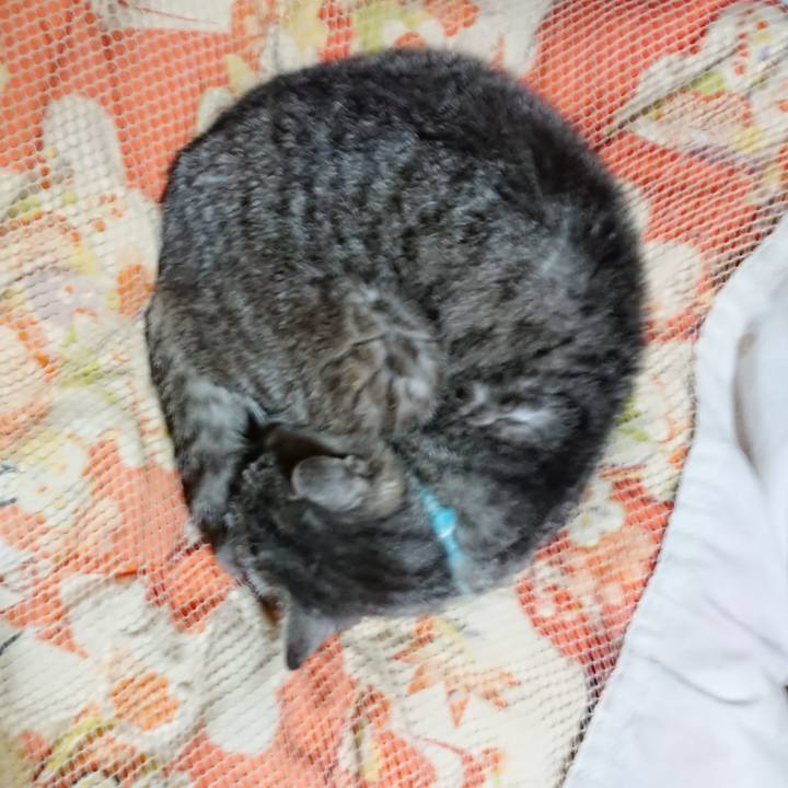 C70854e6 0c3d 460b 9e6c dee23ff23ea4 1572176128994