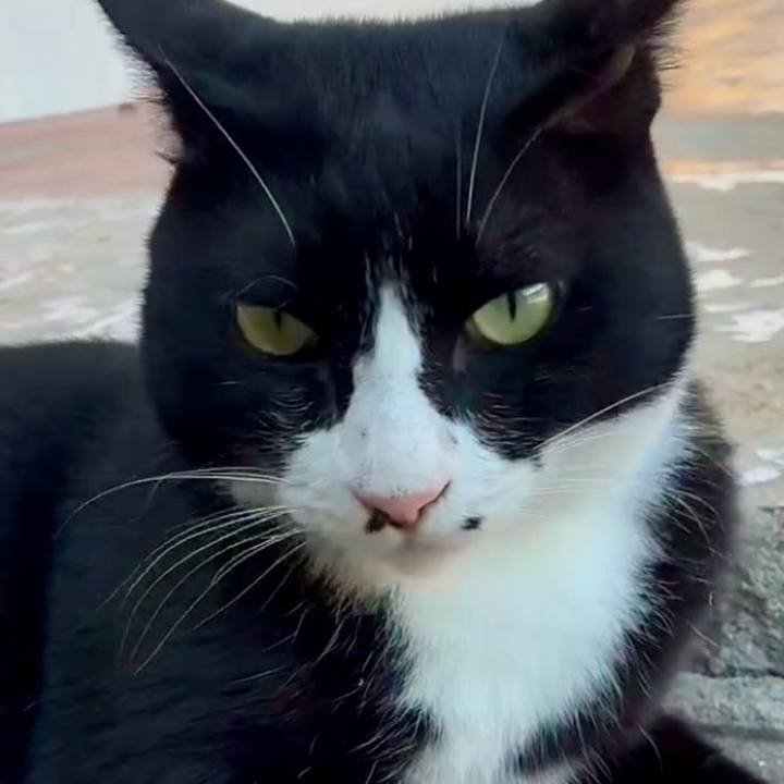 C708784d 818c 4949 b94e 68ef45dffd16 1753255941774