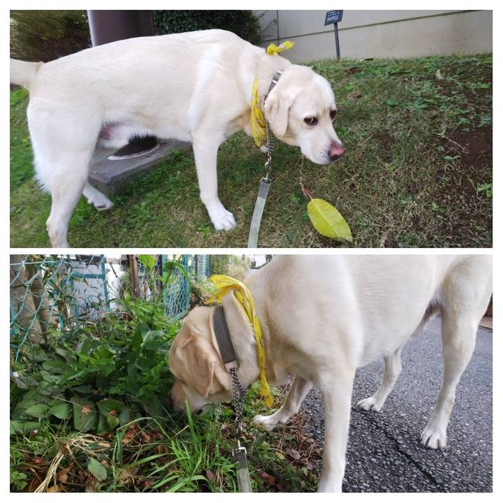 C708b6d3 6fe8 4eb4 abe3 7f2aa690c82b 1542677756620