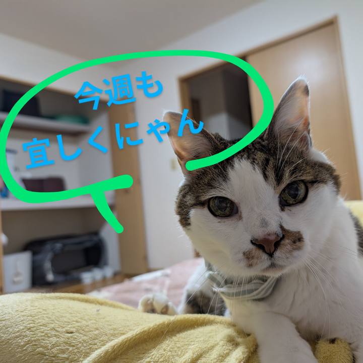 C709113a 86b9 490b 8ed9 01efc41b8656 1747598353661
