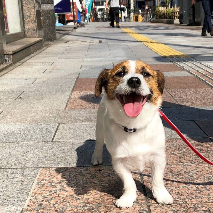 C7091b5e 342f 4051 ad1d 689bbf1e9b83 1524137864677