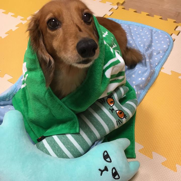 C70920d0 e4cd 4e3e ad49 ac3dd435e2f0 1537539236129