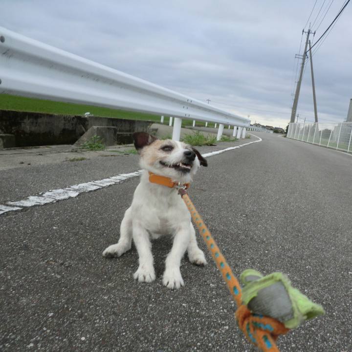 C7092268 237a 47a0 a77f 1671a71489ba 1528880337002