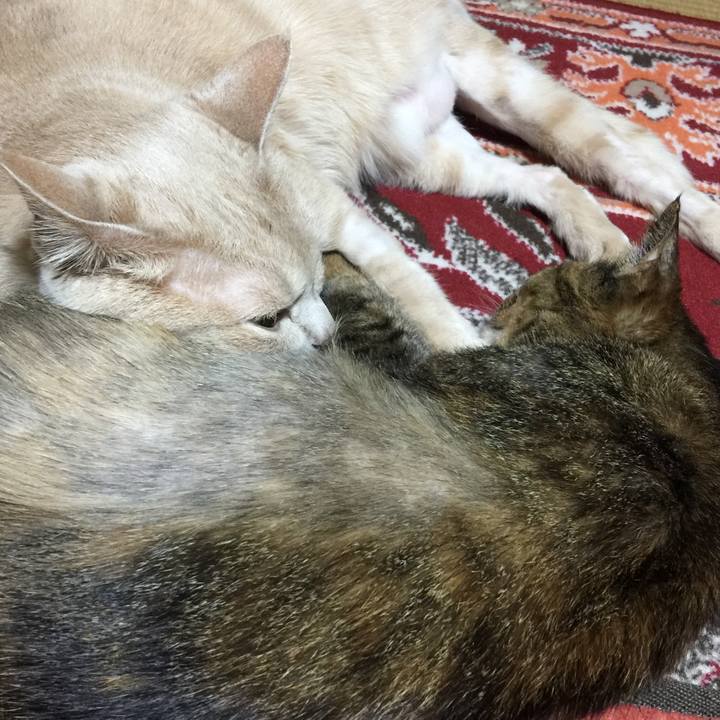 C70932b0 b322 48ef 9a0c 1dfc188d78f3 1578831597664