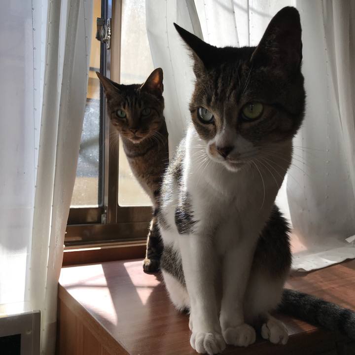 C709395a 297d 4541 9c82 210e4c5de19f 1509586221400