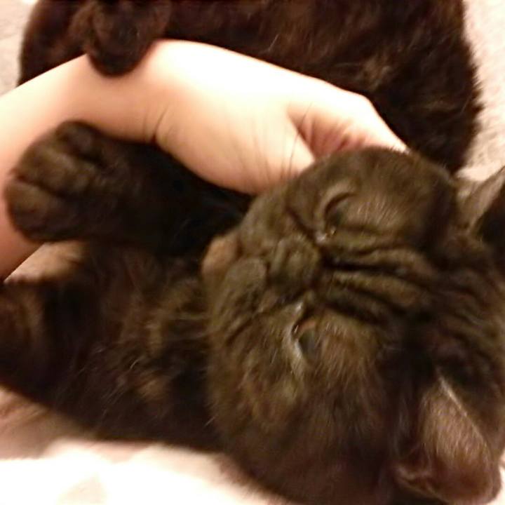 C7093c88 85f0 44c2 ae43 4cfdb97018a4 1577873391127