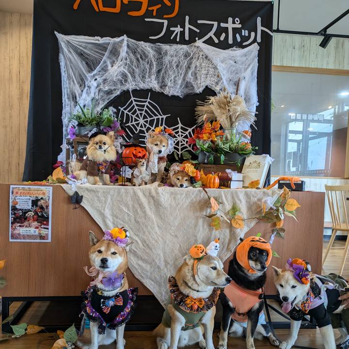 C709684b bfa6 4178 a45d 0d54609824fe 1730457200555