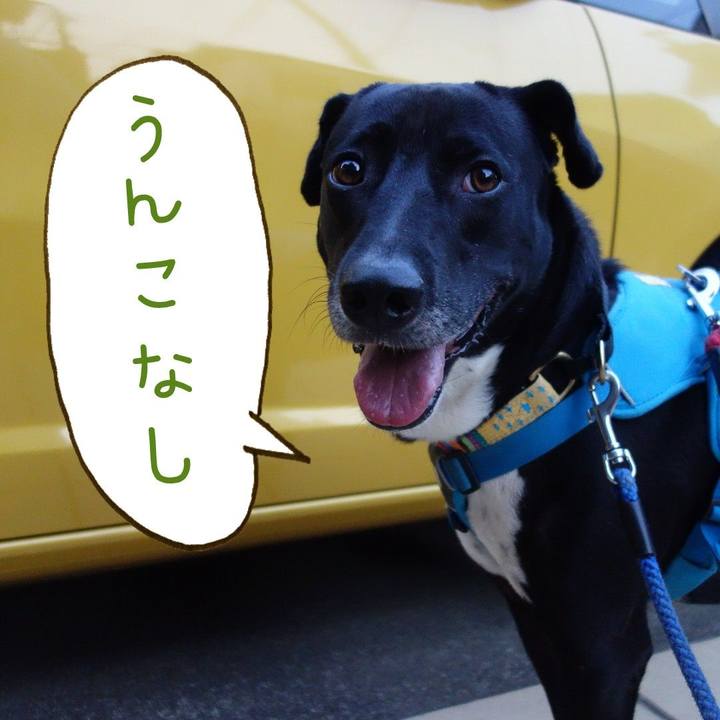 C70991b5 dcfa 452b bb03 273ffab3dfaa 1622632052208