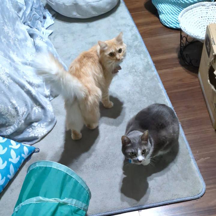 C7099947 c20d 4fe1 80b0 89dd6617df41 1737410672215