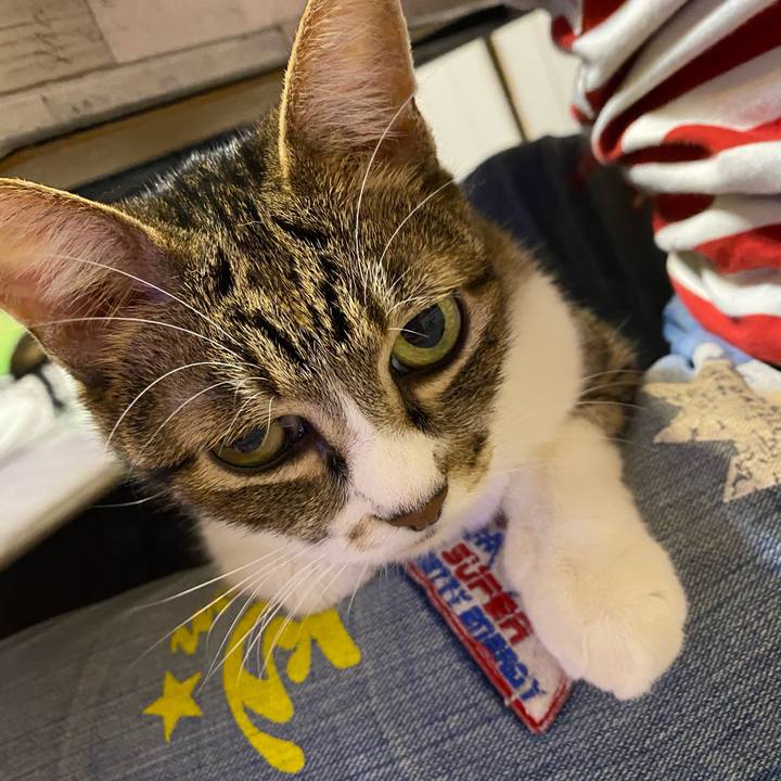 C7099d72 648e 429c 9829 b31b3cab405d 1629025868959