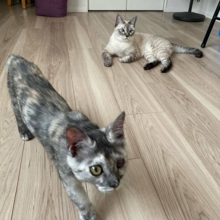 C709a65d 90b3 4322 94b3 43c312aa0c24 1695258783635