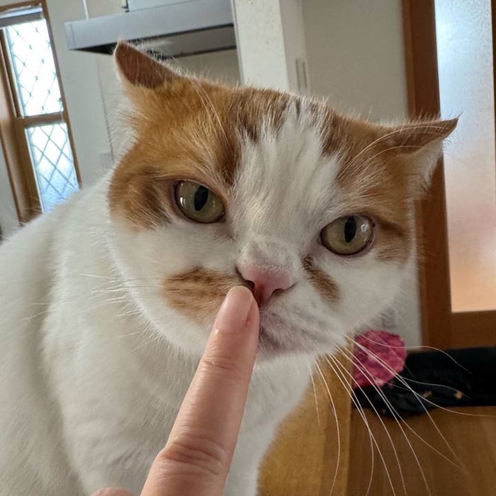 C709aa4e 0c72 4824 98e7 588981a4d558 1767405841208