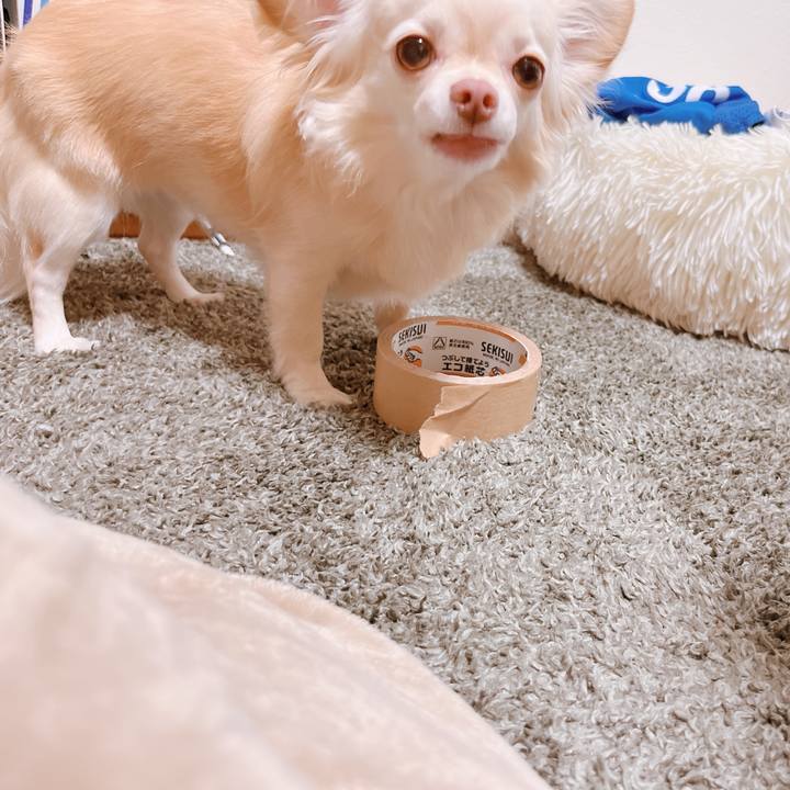 C709ab7d e54a 42fe a68e 0f2cfa982fb1 1659609732335