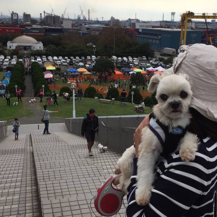 C709bc02 4456 4d11 9313 27358e2f2e00 1539554757984