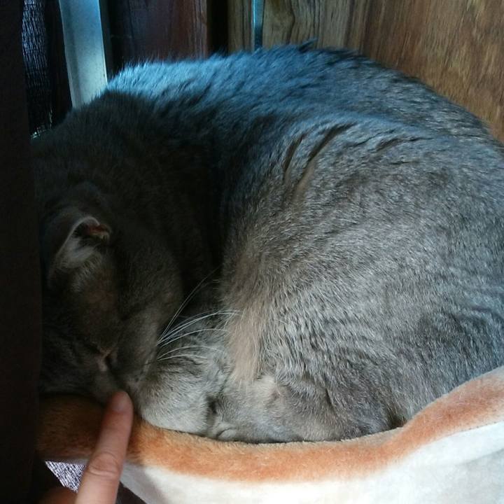 C709c964 fb4b 4907 aee0 71177d05be72 1551505447403