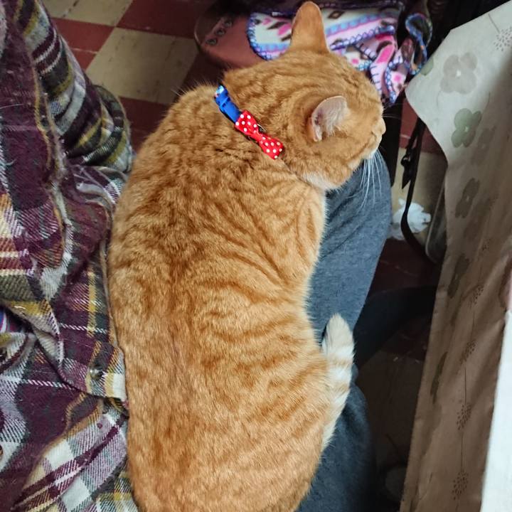 C709f05e 154a 4f9a 8c9f 7d27eb3c7113 1576381863228