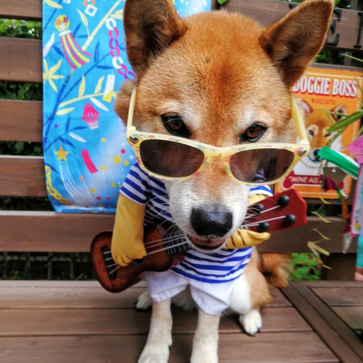 C709f7e9 b9a3 4c68 9135 c325f6164998 1625641561164