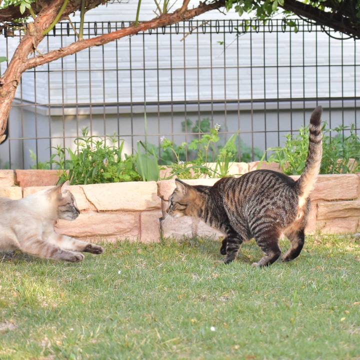 C70a0ca0 4312 4d7d 8027 fa4c041ca66b 1523178885322