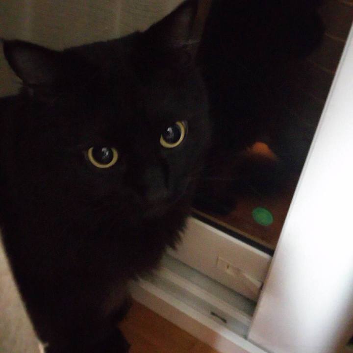 C70a2bcf e649 4650 a365 93d1161f554e 1508176937815