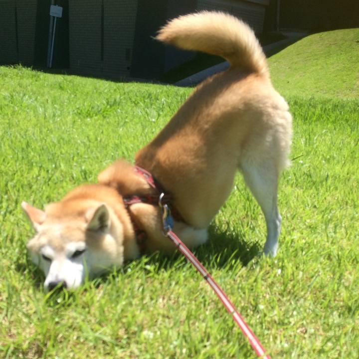 C70a347a 6b77 4dd8 a194 70fe282f0ea8 1763967043489