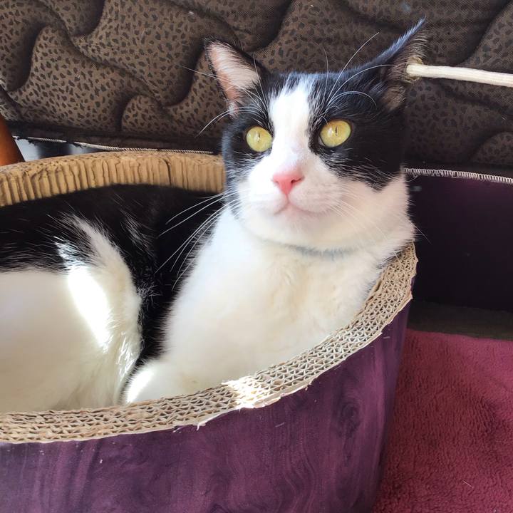 C70a5b19 1160 4966 99d0 469616bf985e 1760688872937