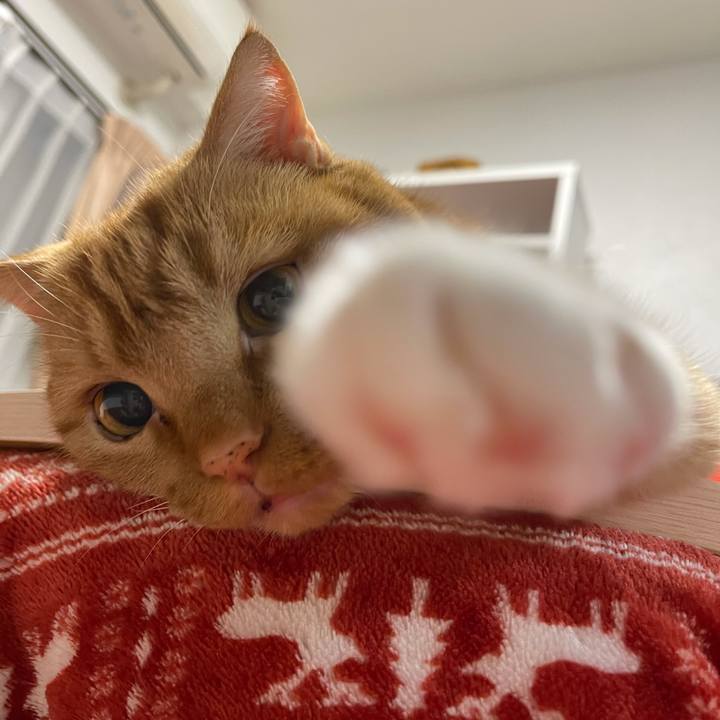 C70a8873 9d60 4893 9d0d 0d6b9fe46cb8 1615296598167