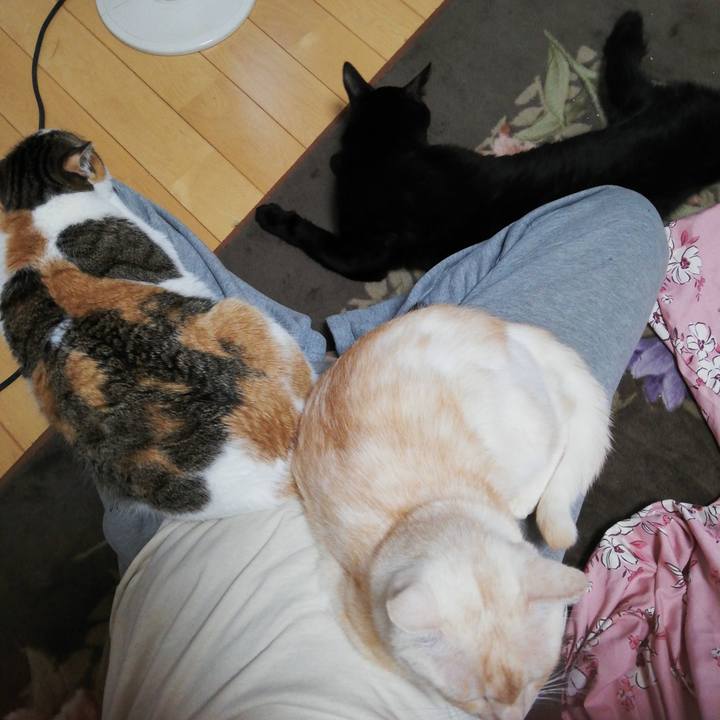 C70a9dd8 ddd3 40da b7b0 c0ea30bf74e9 1637621642743