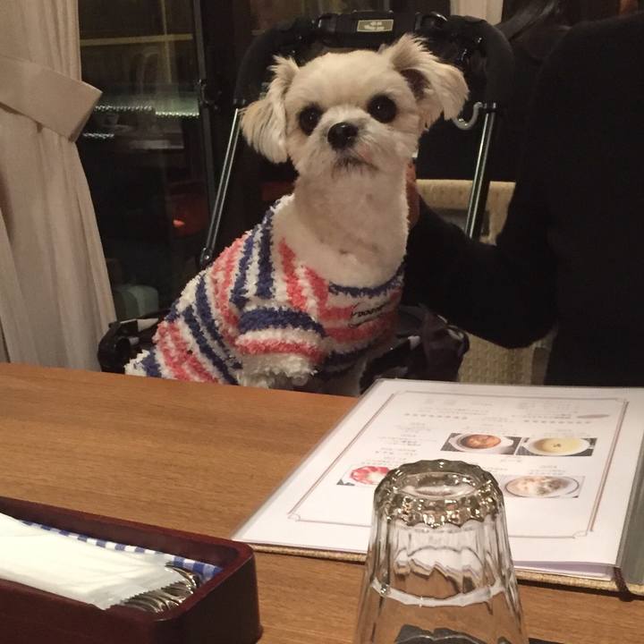 C70ac07d 720c 404f bfbc 1c68345e0f53 1515065583344