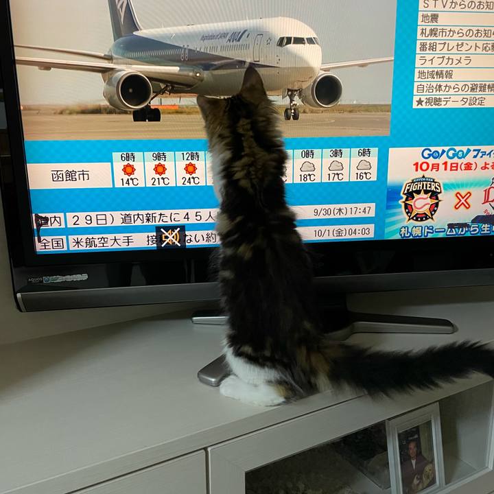 C70ac239 475f 41f1 9376 9df5db8075cd 1633030568022