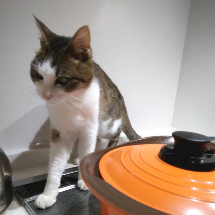 C70b498c 9c27 467a 8d45 e7cfa759ba9c 1553223978786