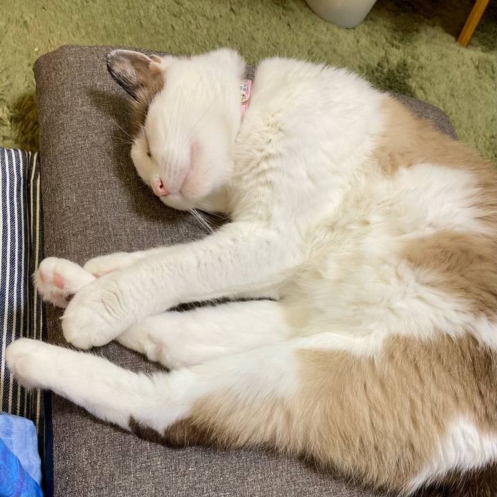 C70b79b0 9678 401a 9938 83c1cf323e6d 1657972755131