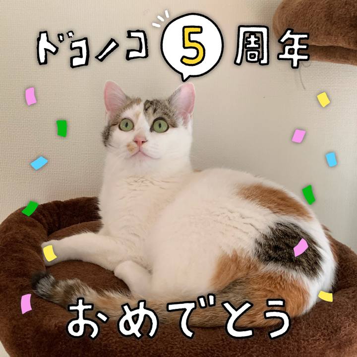 C70b8089 611d 4236 9c18 0607bd8dfb64 1622964412966