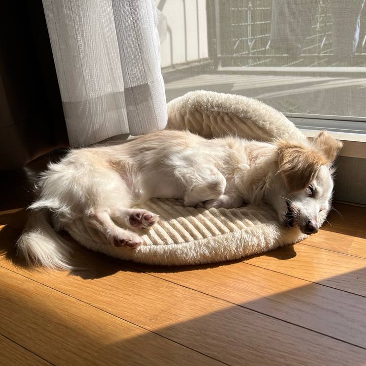 C70b9457 e1a0 4e59 9242 4c01d0bf8354 1707889073807