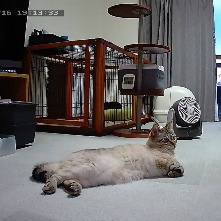 C70bbab3 b636 4733 b275 f02264858878 1560680062326