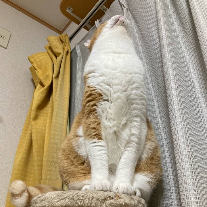 C70bcd07 63c6 49e5 bdb7 afb0b9257bba 1764514927039