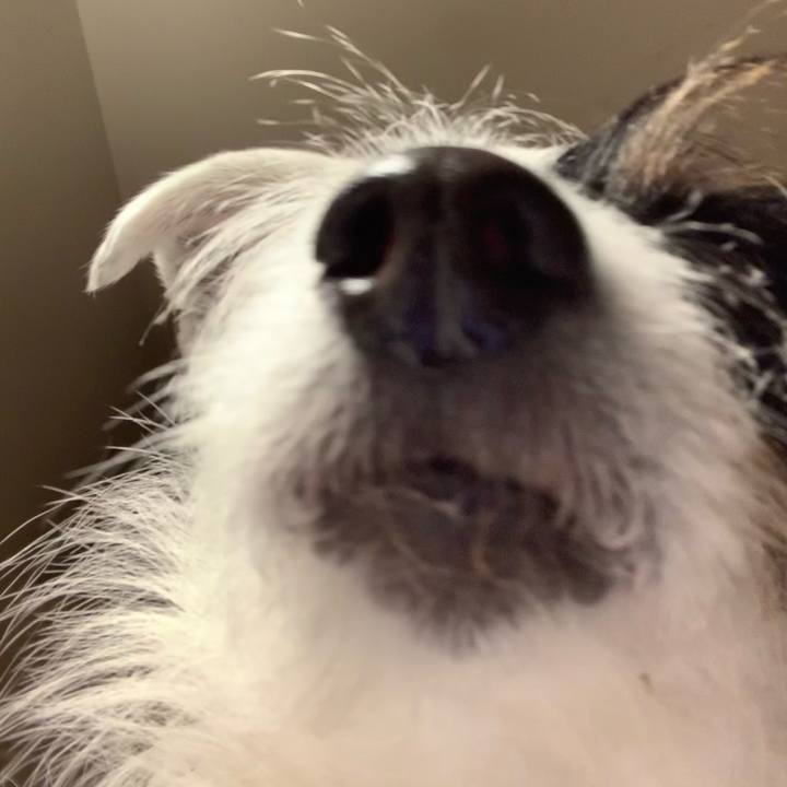 C70bcf33 3c9f 4efa b53b c6fef43b173f 1613470069248