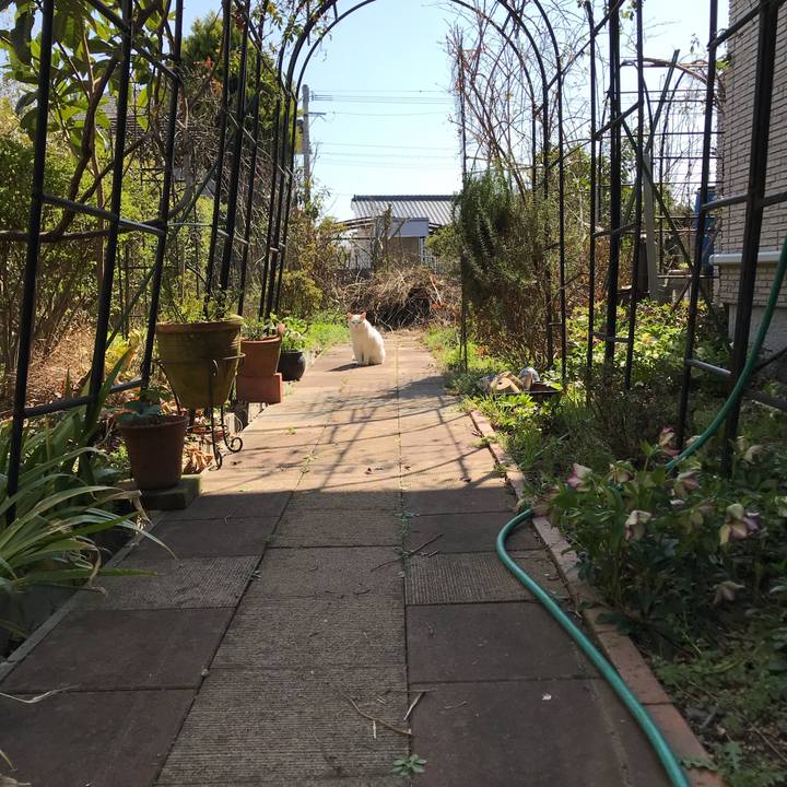 C70bda6d 1f5a 45ec ac25 2956dfc4751d 1520657058113