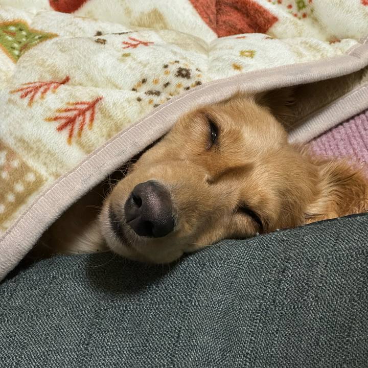 C70bfebe db5d 4e43 a6ae 97e1a01178e5 1703937376868