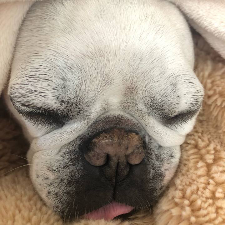 C70c2fb1 0947 4e5a 9a74 ab765f32cb73 1651398445034