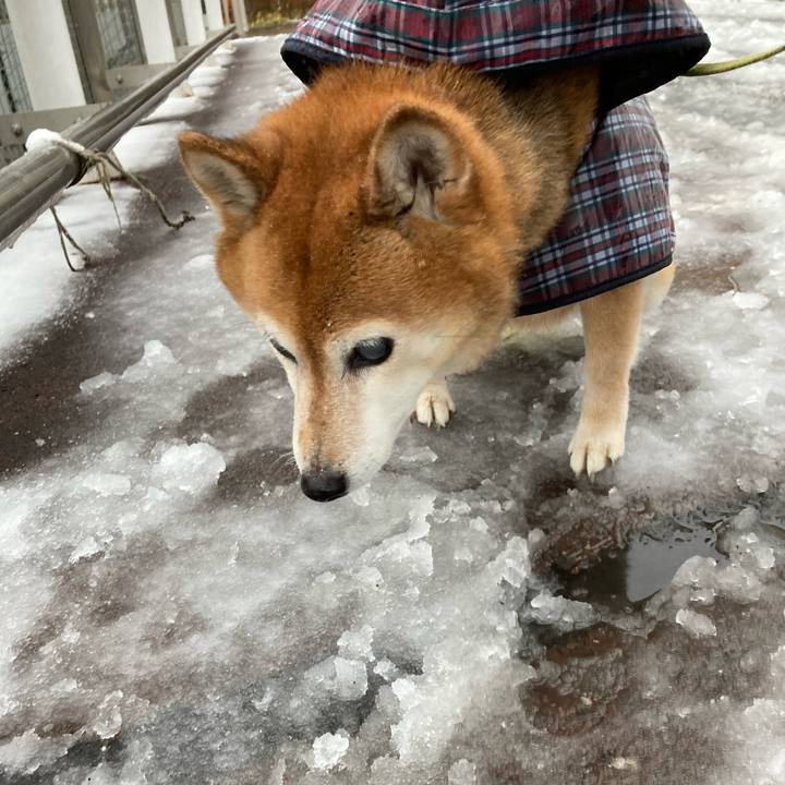 C70cb42a d92b 441d 9153 c422620c00bb 1676016601028