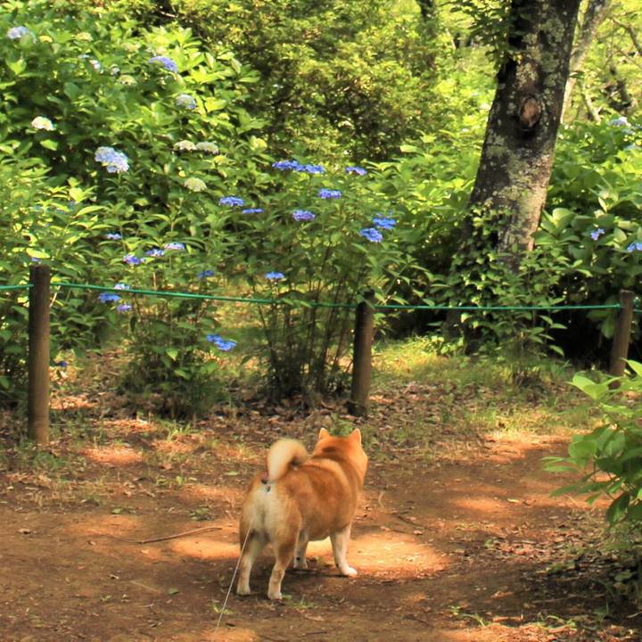 C70cb546 9b4a 4233 a321 d9bd0f20d223 1623479763750