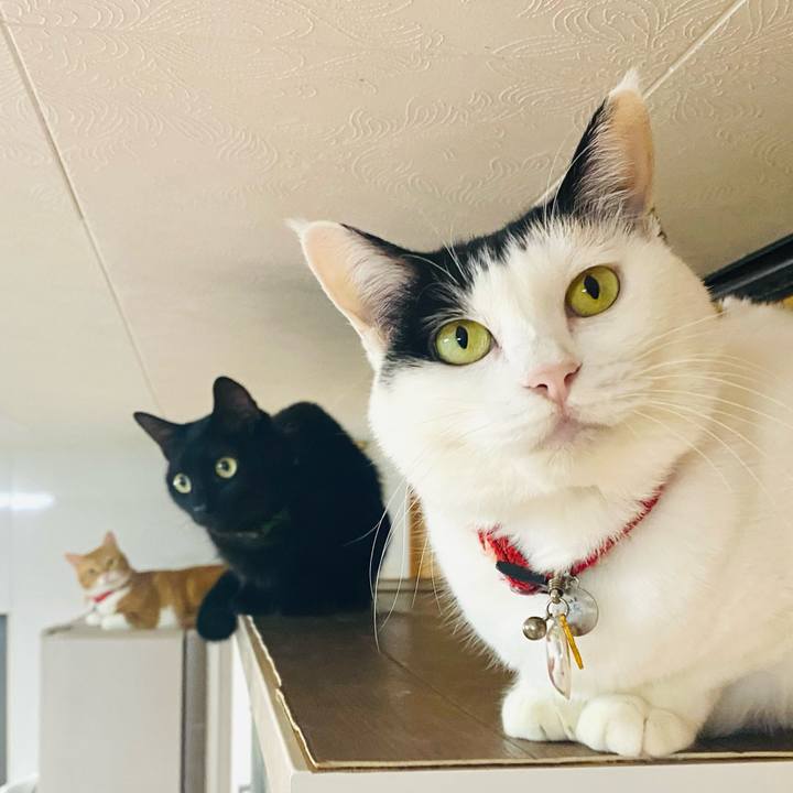 C70d2e09 30ee 446b b789 de4ccfbfdee8 1729764624208