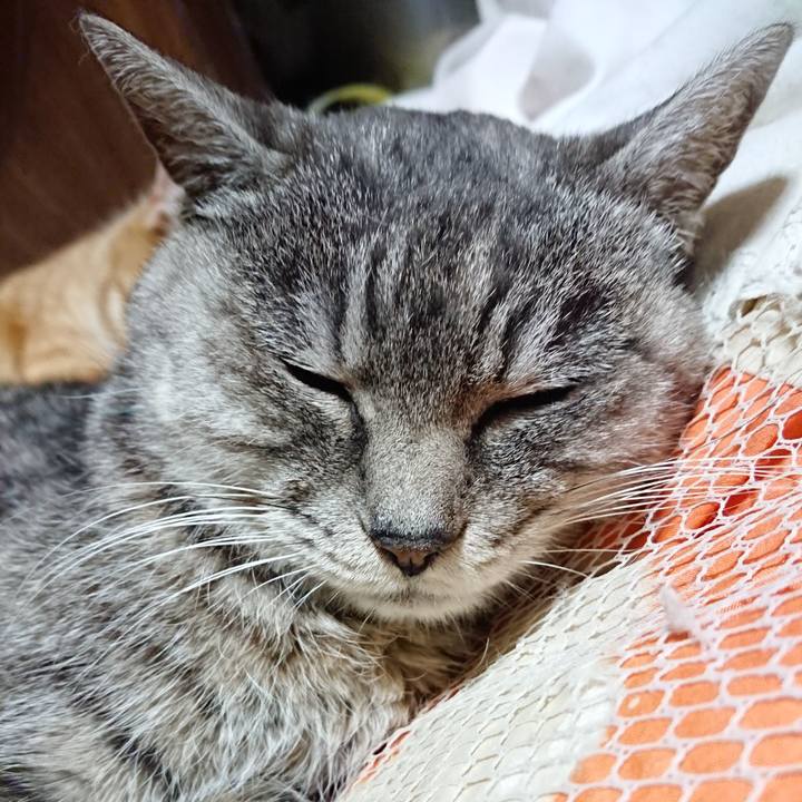 C70d3ca3 e2f4 4334 80fa c8267d8fc969 1574082119379