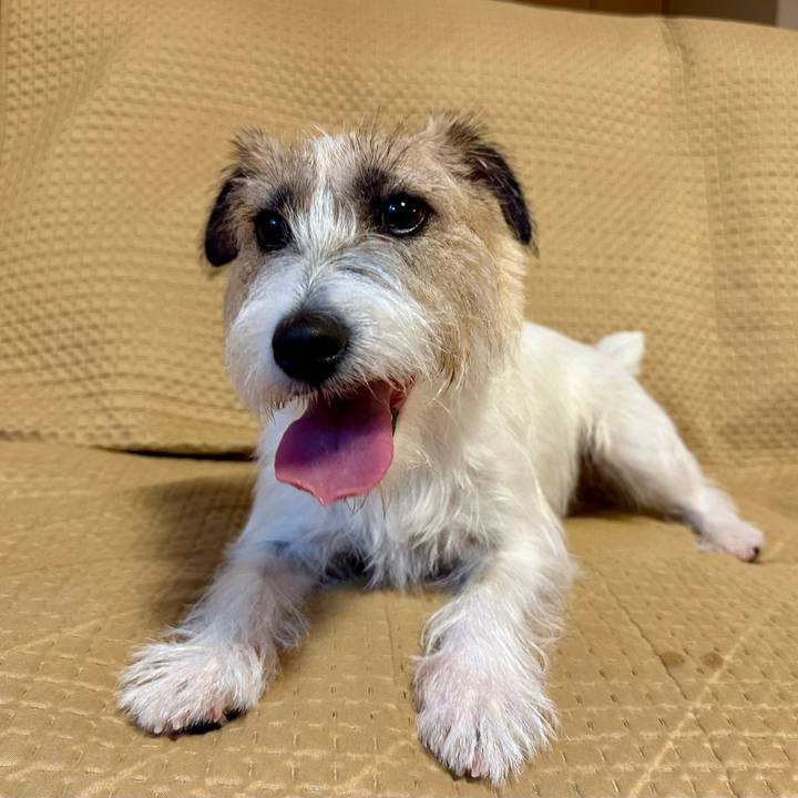 C70d4bd1 04c1 4783 ad8b 9b7d10ab8968 1727940658145