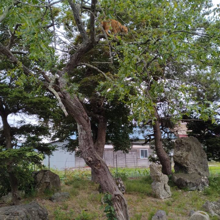 C70d8dd6 f70c 4a01 b362 89723285a9a9 1719911013287