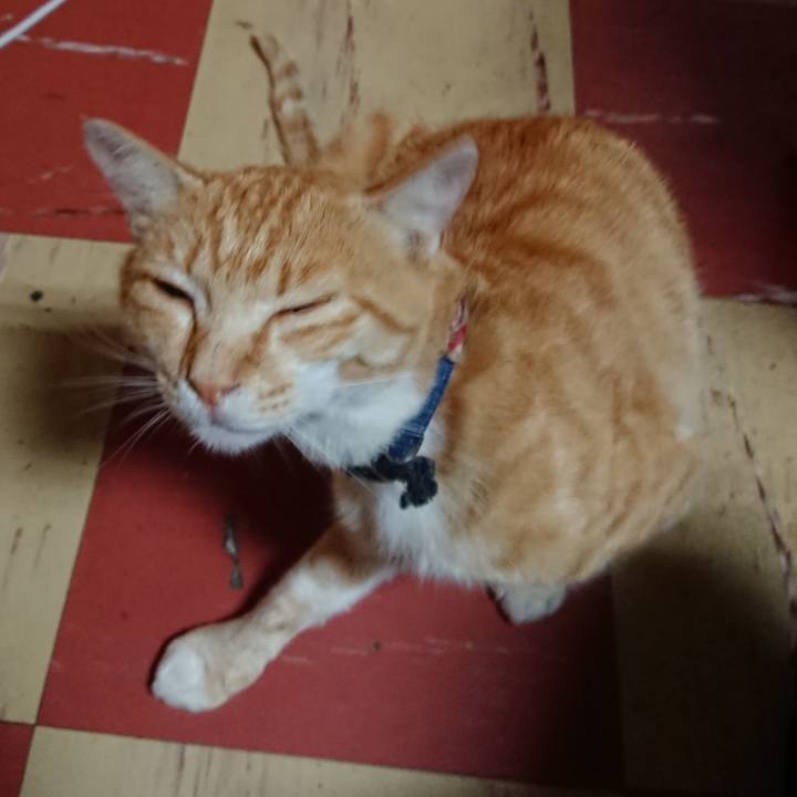 C70d92c2 a033 406c 81f4 cffc4343c664 1561579382189