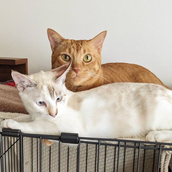 C70df18a 4758 4221 9828 feb3f4d391f6 1696647652991